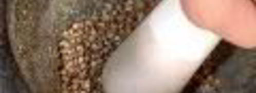 абхазская аджика. Шаг 3