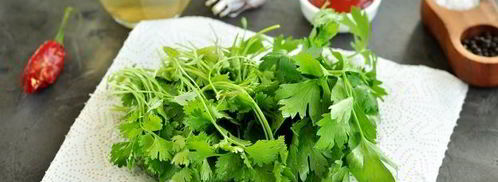 аджика с кинзой. Шаг 5