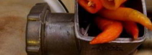 аджика вареная на зиму из помидоров. Шаг 3