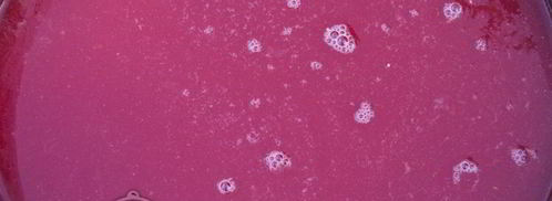 домашний томатный сок на зиму. Шаг 6