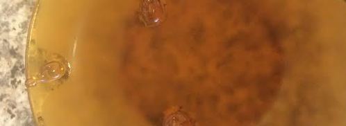 джем из персиков и нектаринов. Шаг 8