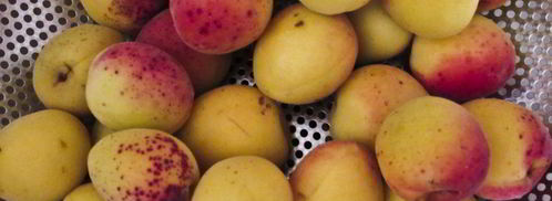 компот из абрикосов и яблок на зиму. Шаг 3