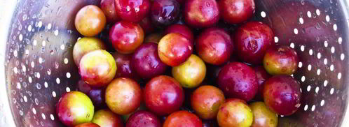 компот из алычи и яблок на зиму. Шаг 3