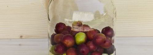 компот из алычи и яблок на зиму. Шаг 6