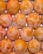 Компот из алычи на зиму