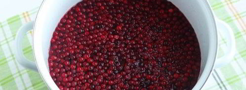 компот из брусники с яблоками на зиму. Шаг 10