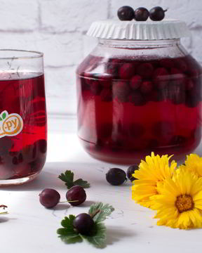 Компот из красного крыжовника