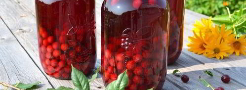 концентрированный компот из вишни на зиму. Шаг 10