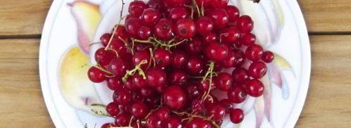 персиковый компот. Шаг 3