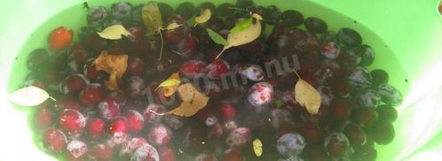 сливовый компот из сливы с косточками. Шаг 3