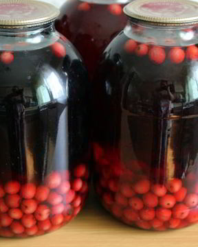 Вишневый компот на зиму