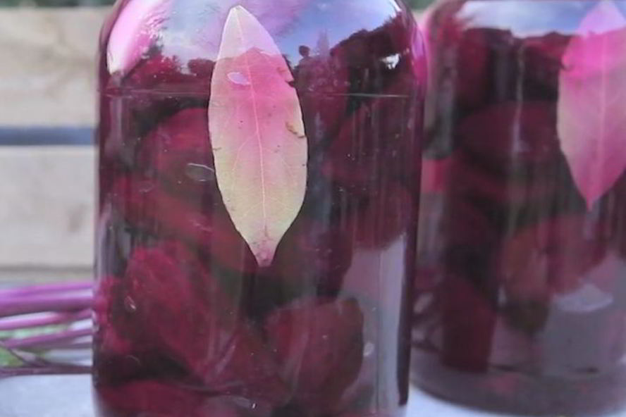 Рецепт квашеной свеклы