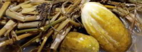 квашеные огурцы. Шаг 6