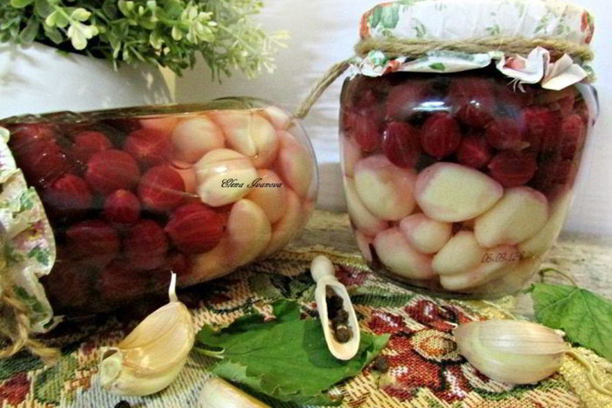 Рецепт чеснока, маринованного с крыжовником