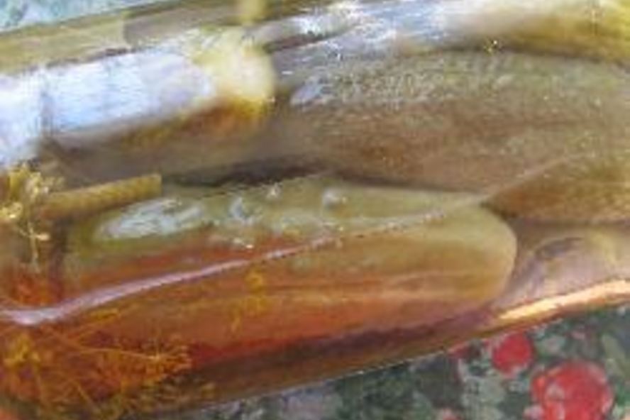 Рецепт маминых маринованных огурцов