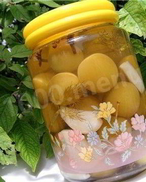 Маринованная алыча