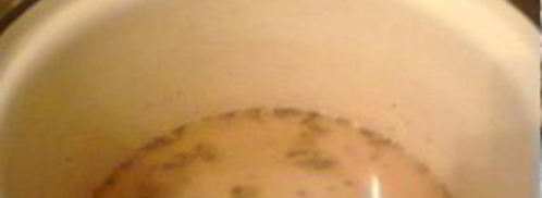 маринованная черемша на зиму. Шаг 3