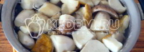 маринованные белые грибы закусочные. Шаг 8