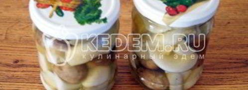 маринованные белые грибы закусочные. Шаг 10