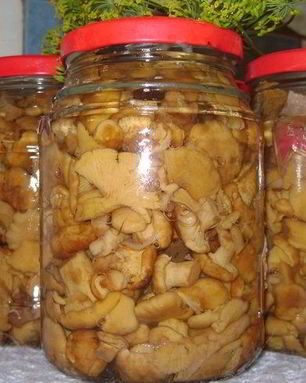 Маринованные грузди жареные