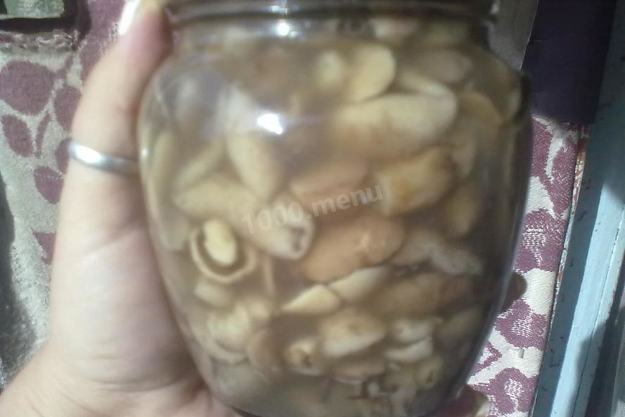 Рецепт маринованных маслят в банках