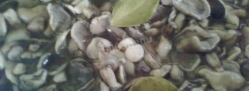 маринованные маслята в банках. Шаг 4