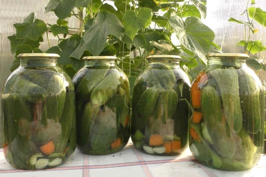 Рецепт маринованных огурцов на зиму хрустящие без стерилизации