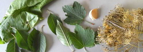 маринованные огурцы. Шаг 3