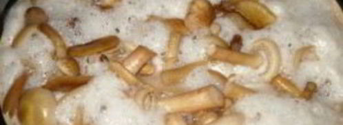 маринованные опята с чесноком. Шаг 4