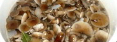маринованные опята с чесноком. Шаг 7