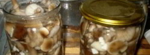 маринованные опята с чесноком. Шаг 9