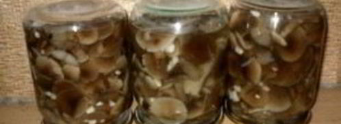 маринованные опята с чесноком. Шаг 11