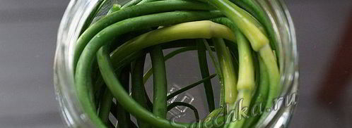 маринованные стрелки чеснока. Шаг 8