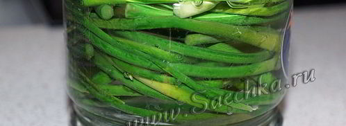 маринованные стрелки чеснока. Шаг 9