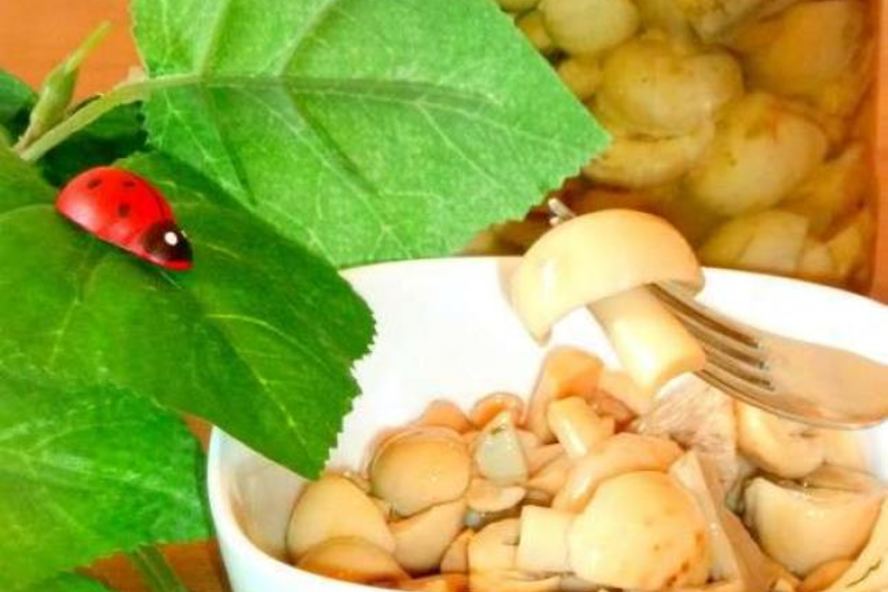 Рецепт маринованных сыроежек