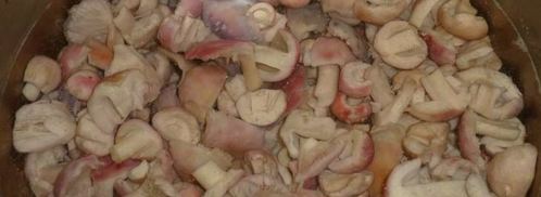 маринованные сыроежки. Шаг 7