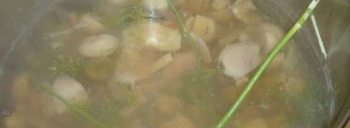 маринованные сыроежки. Шаг 8