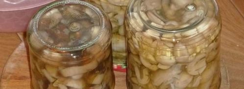 маринованные сыроежки. Шаг 9