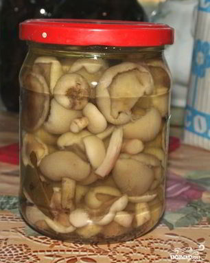 Маслята маринованные