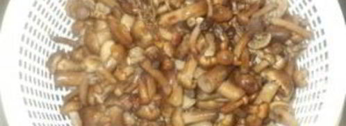 опята маринованные. Шаг 4