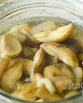 Польские грибы маринованные