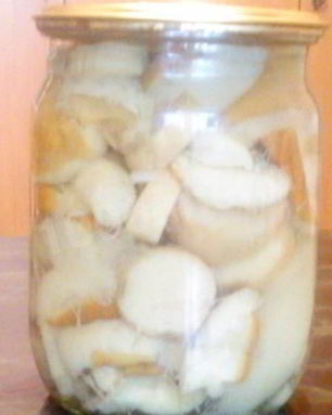 Свежие маринованные грибочки на зиму