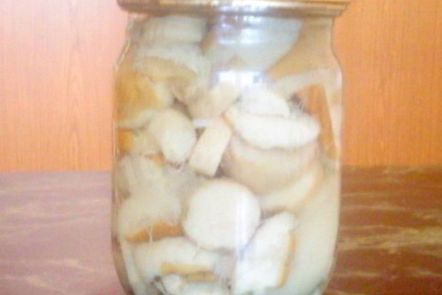 Рецепт свежих маринованных грибочков на зиму