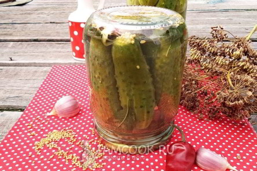 Рецепт огурцов с семенами горчицы на зиму