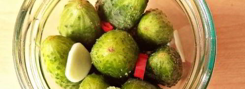 огурцы с семенами горчицы на зиму. Шаг 7