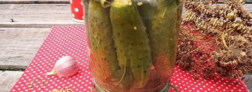 огурцы с семенами горчицы на зиму. Шаг 9