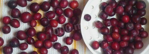 сливовое повидло из слив на зиму. Шаг 3