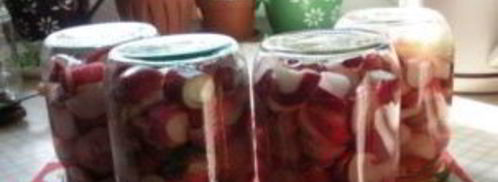 редис на зиму. Шаг 6