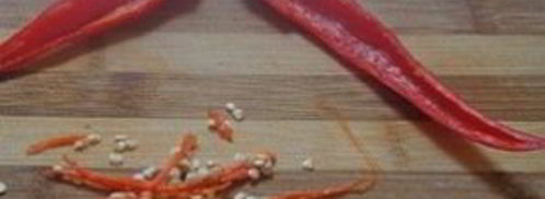 консервированная пекинская капуста. Шаг 3