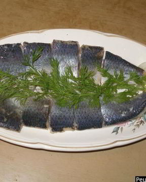 Малосольная селедка